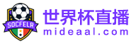 世界杯直播